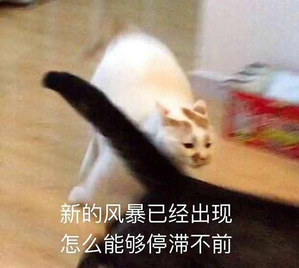 640.webp.jpg