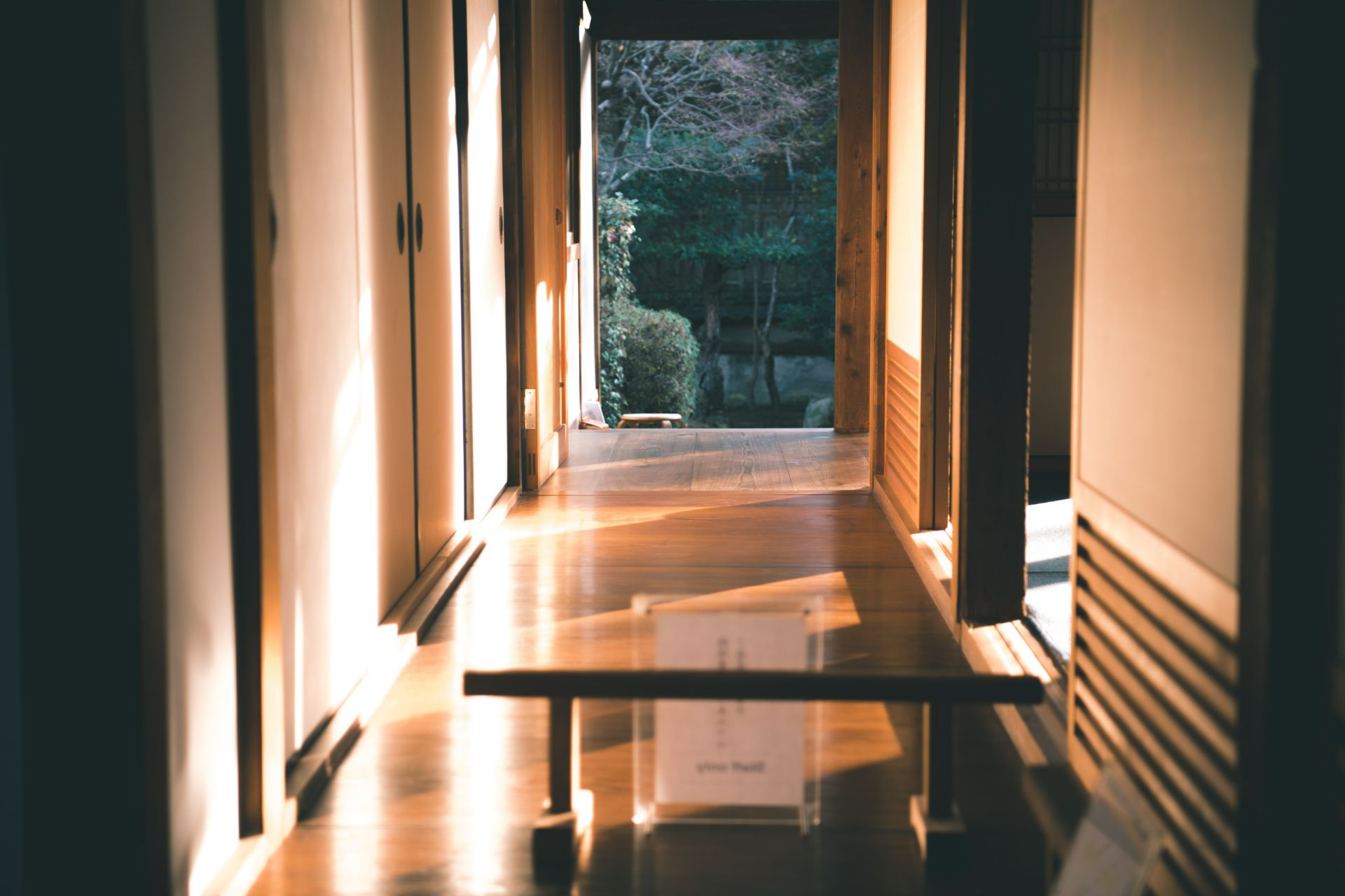 pexels-satoshi-hirayama-1743555.jpg
