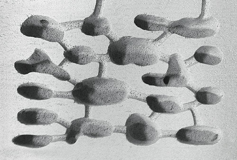 11_Ants_Colony_Nest.jpg 11_Ants_Colony_Nest.jpg