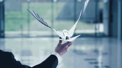 仿生雨燕３.gif