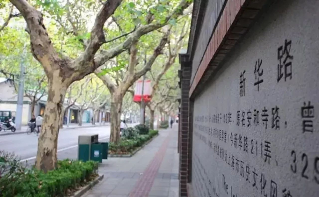 新华路2.jpeg