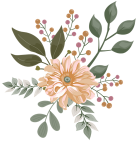 2.png 2.png
